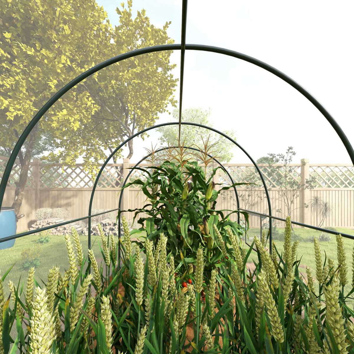 3 x 2 x 2m Polytunnel Greenhouse with Door, Windows, Steel Frame