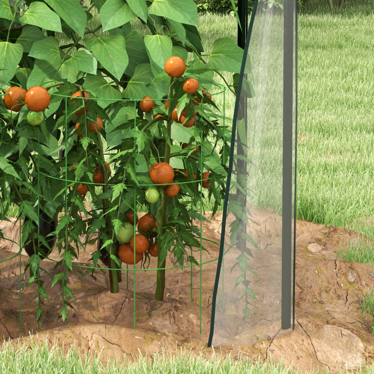 Tomato Greenhouse with 2 Zipped Doors, Outdoor Green House, Clear