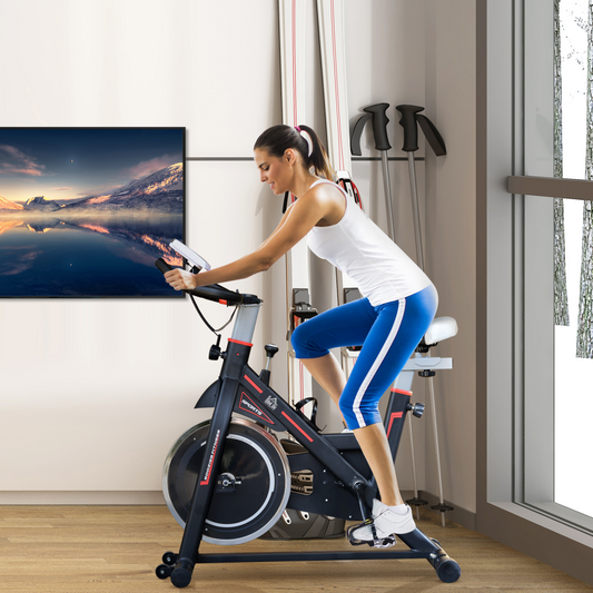 Flywheel Exercise Racing Bicycle Cardio Adjustable Resistance LCD 8kg